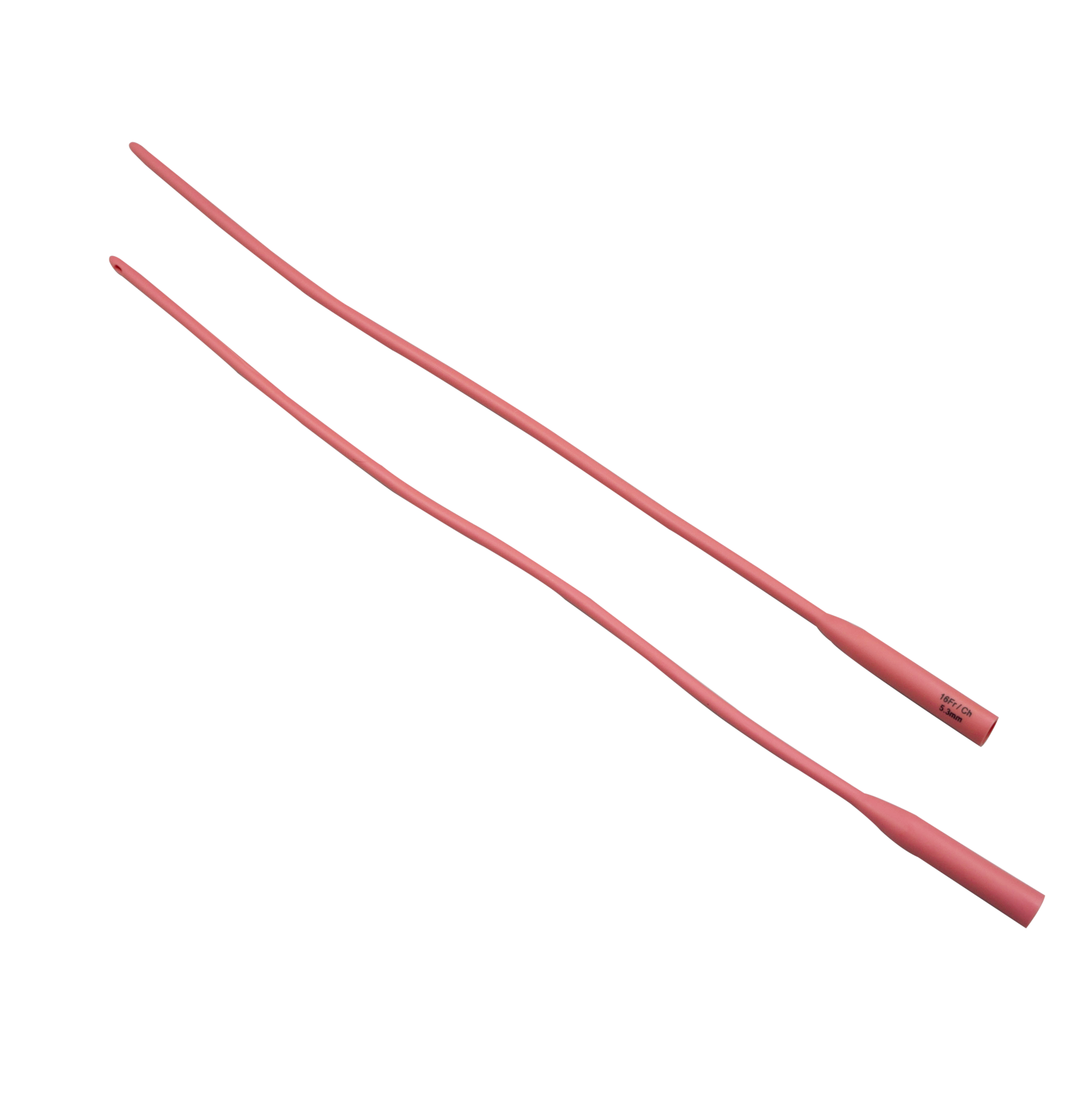 Single lumen latex catheter