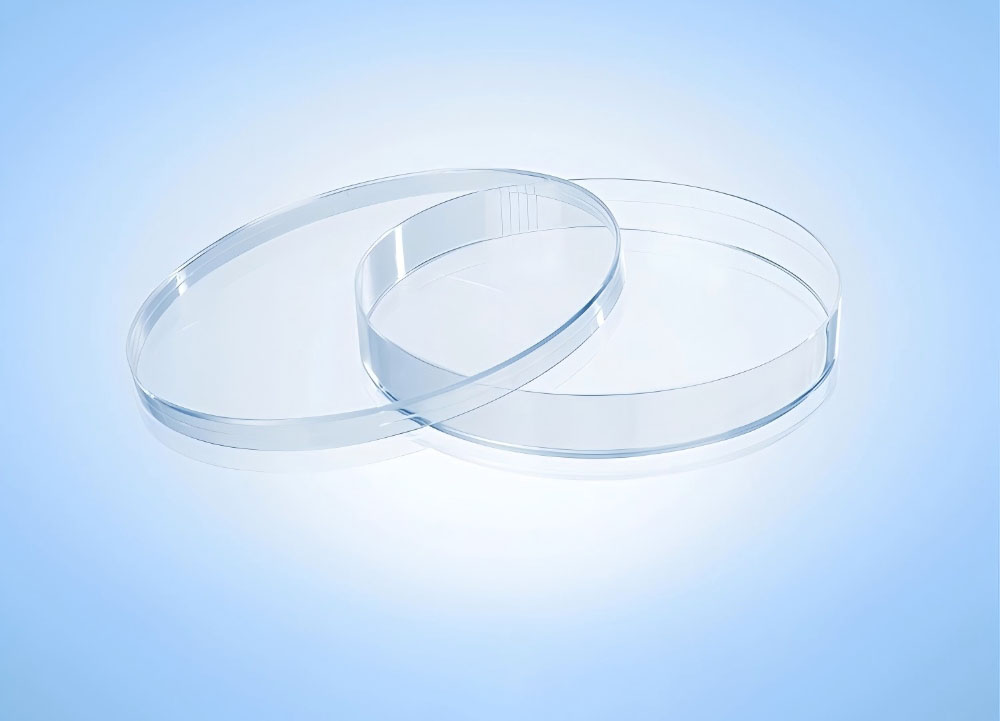 Petri Dish 14CM
