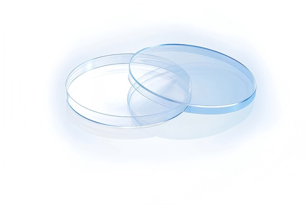Cell Culture Dish