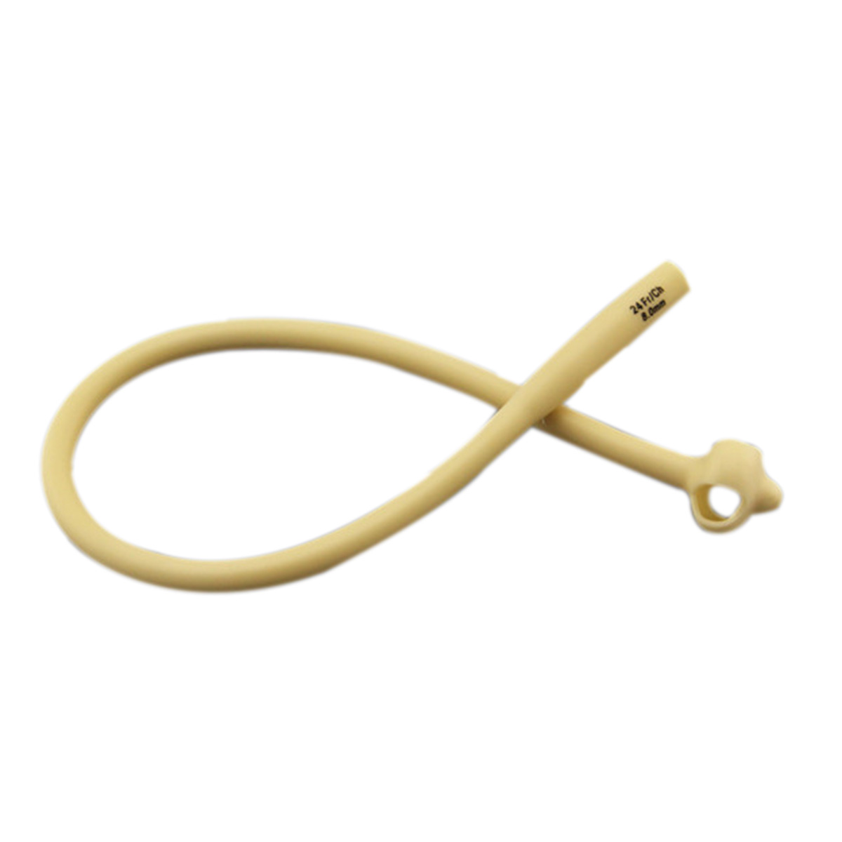 IaTeX bacterial catheter